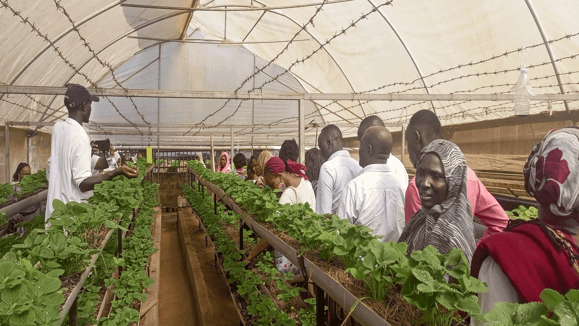 Members of USLAs formed by KOWED touring Capsicum Valley Products farm during a training of hydroponic farm setup and vertical farming management - Re:BUiLD