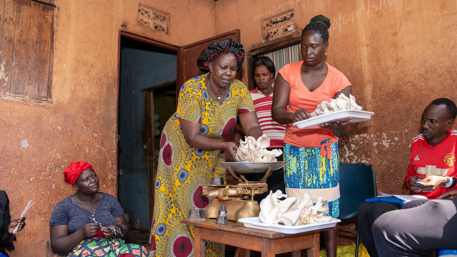 Members of the Canan Women’s Group weigh the mushrooms they harvested - ReBUiLD