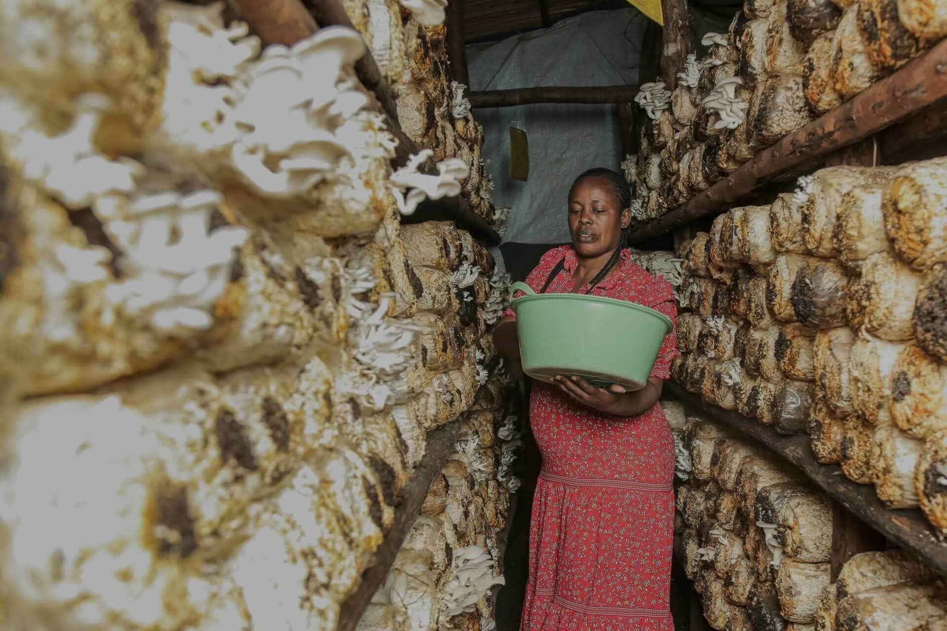 Re:BUiLD - A Research and Policy Symposium