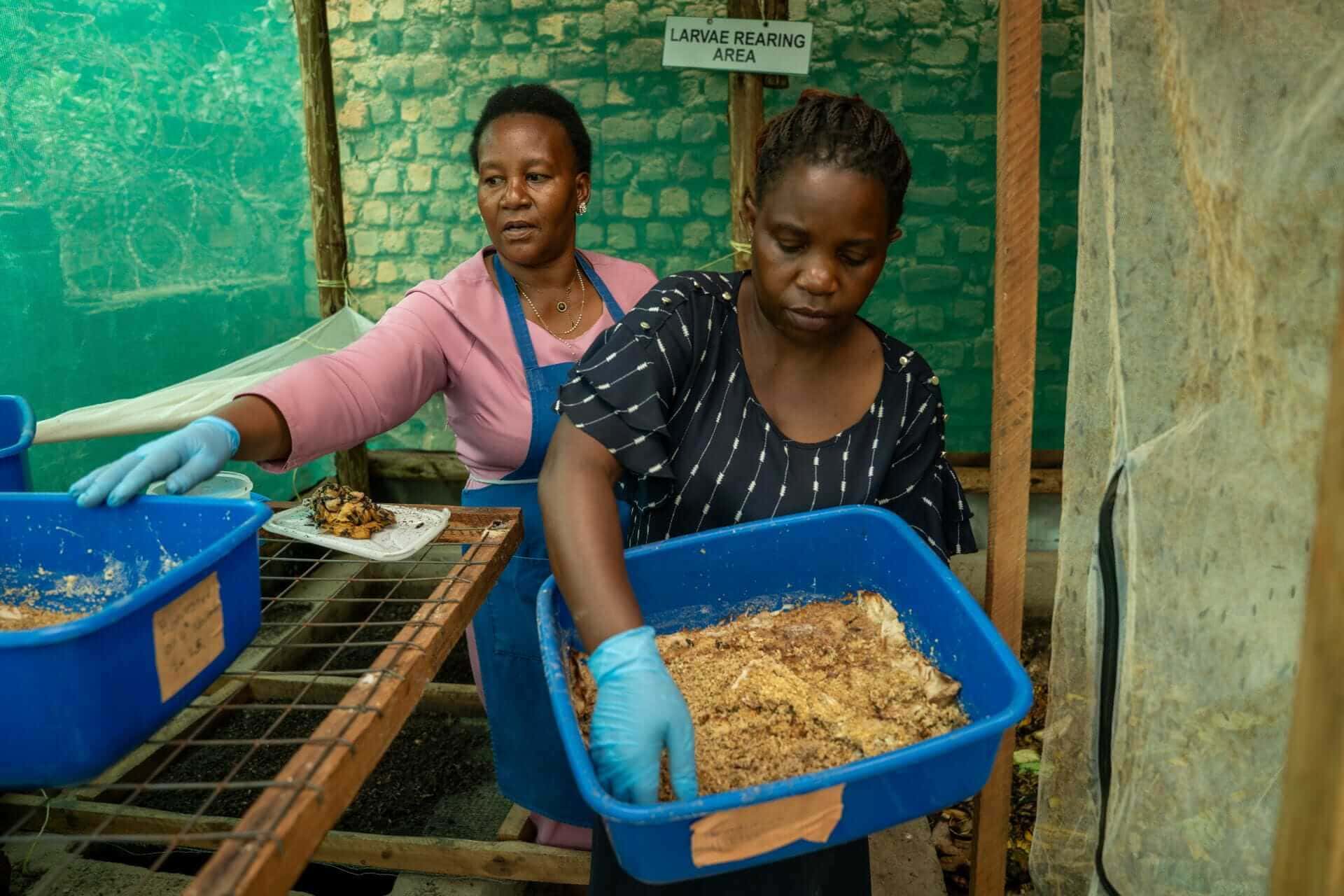 Erisa Black Soldier Flies Keepers' group - ReBUiLD Kampala