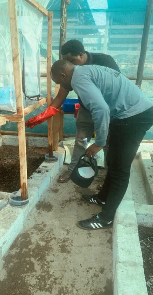 Moses Okot, Advocacy Manager with the ReBUiLD Program, inspecting a recently installed Black Soldier Fly production unit at KCCA Kyanja Agricultural Resource Centre